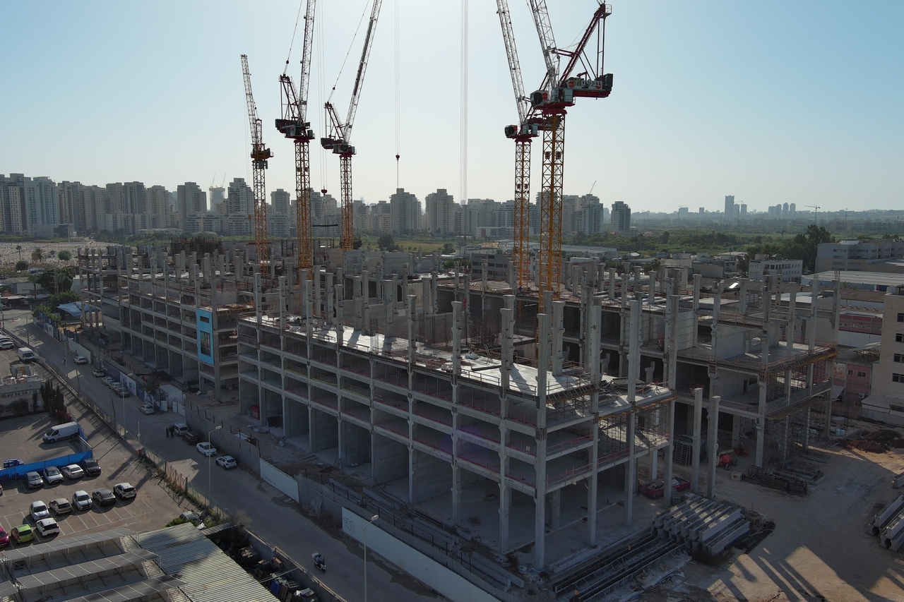 יוקה-סגולה_Easy-Resize.com_