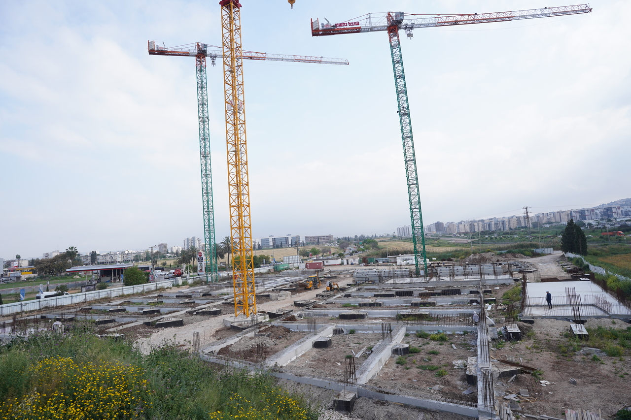 יוקה-עפולה_Easy-Resize.com_